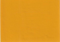 2006 Nissan Solar Yellow